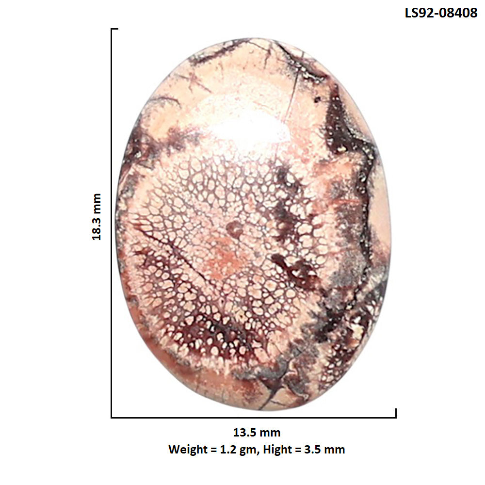 Mexican Bird Eye 13.5x18.3x3.5 mm Oval Shape Polished Gemstone LS92-08408