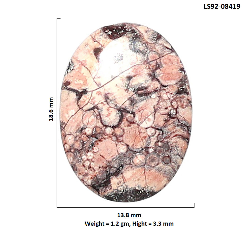 Mexican Bird Eye 13.8x18.6x3.3 mm Oval Shape Polished Gemstone LS92-08419