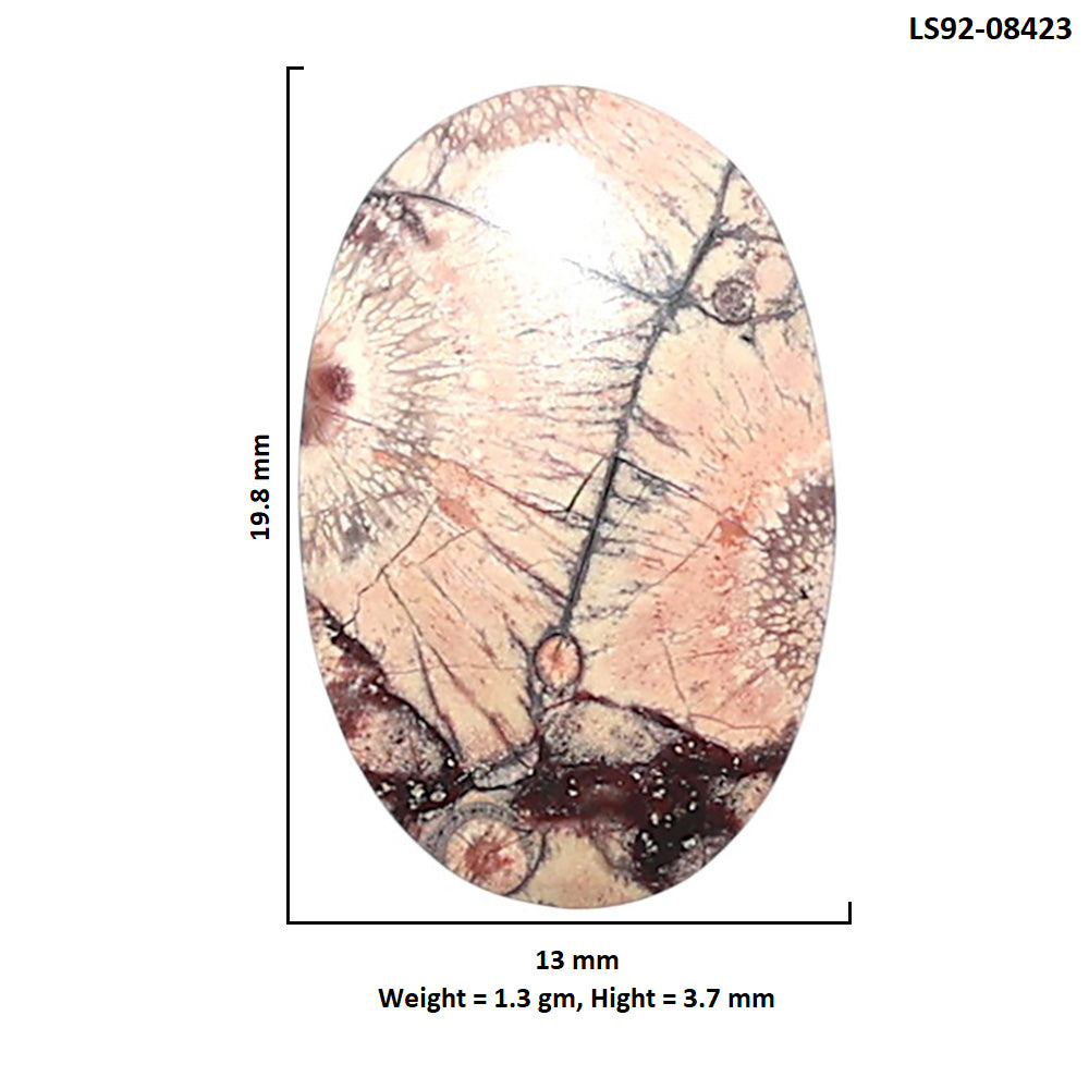 Mexican Bird Eye 13x19.8x3.7 mm Oval Shape Polished Gemstone LS92-08423