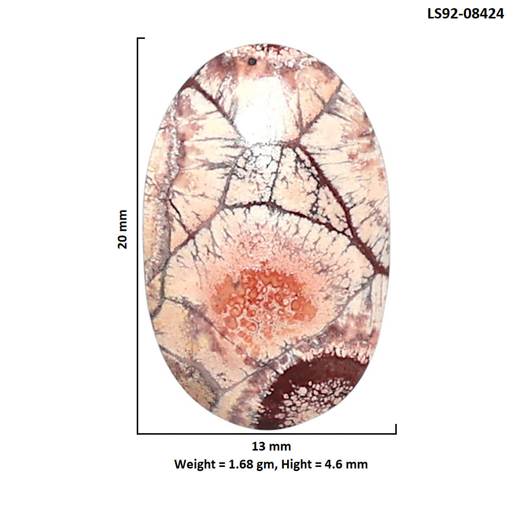 Mexican Bird Eye 13x20x4.6 mm Oval Shape Polished Gemstone LS92-08424