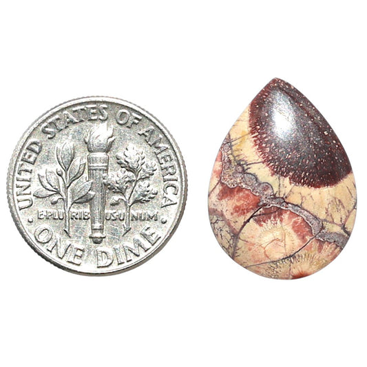 Mexican Bird Eye 14.7x19.8x4.3 mm Pear Shape Polished Gemstone LS92-08428