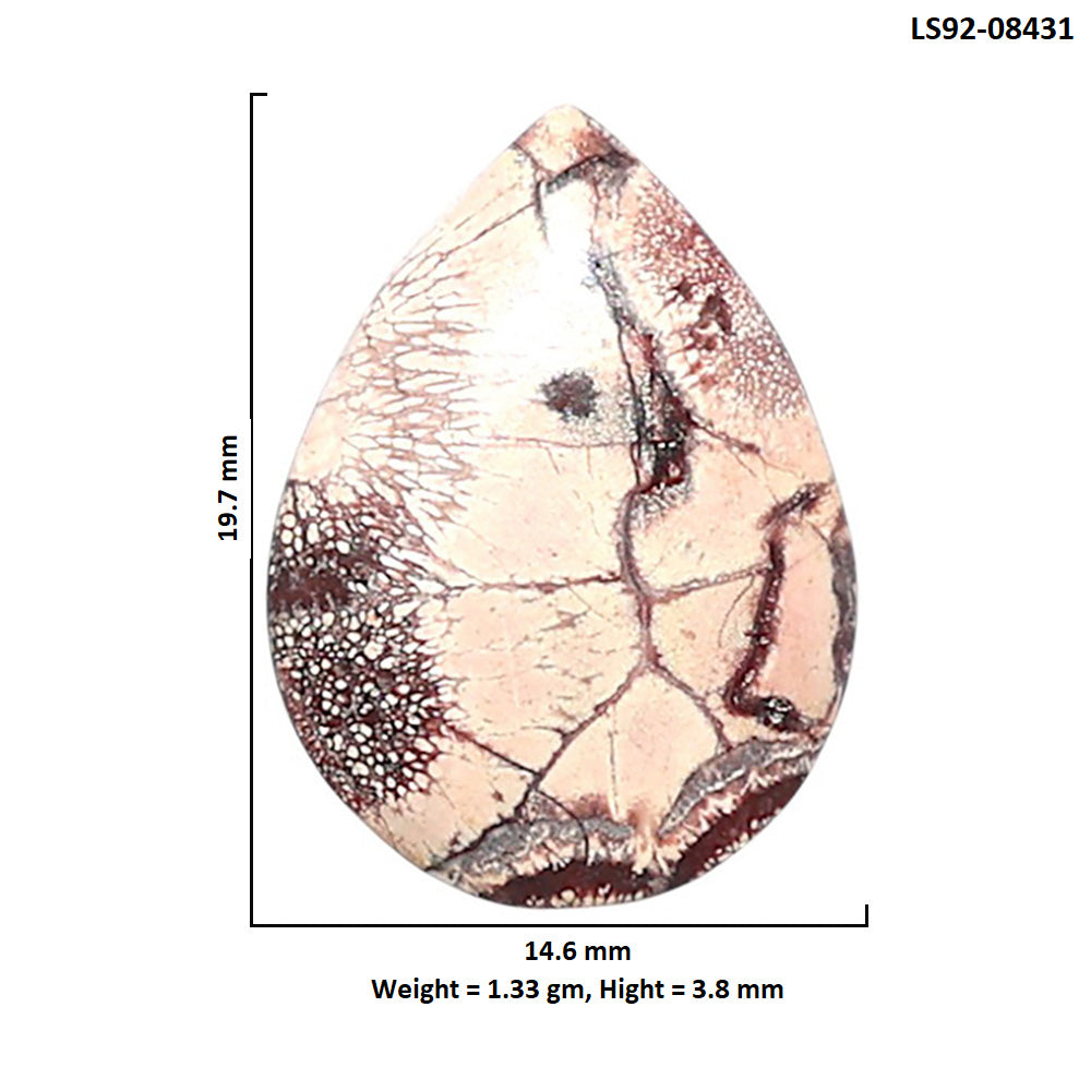 Mexican Bird Eye 14.6x19.7x3.8 mm Pear Shape Polished Gemstone LS92-08431