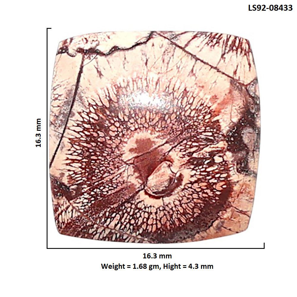 Mexican Bird Eye 16.3x16.3x4.3 mm Cushion Shape Polished Gemstone LS92-08433