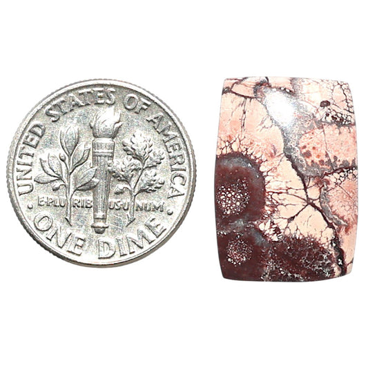 Mexican Bird Eye 13.5x19x3.3 mm Cushion Shape Polished Gemstone LS92-08436