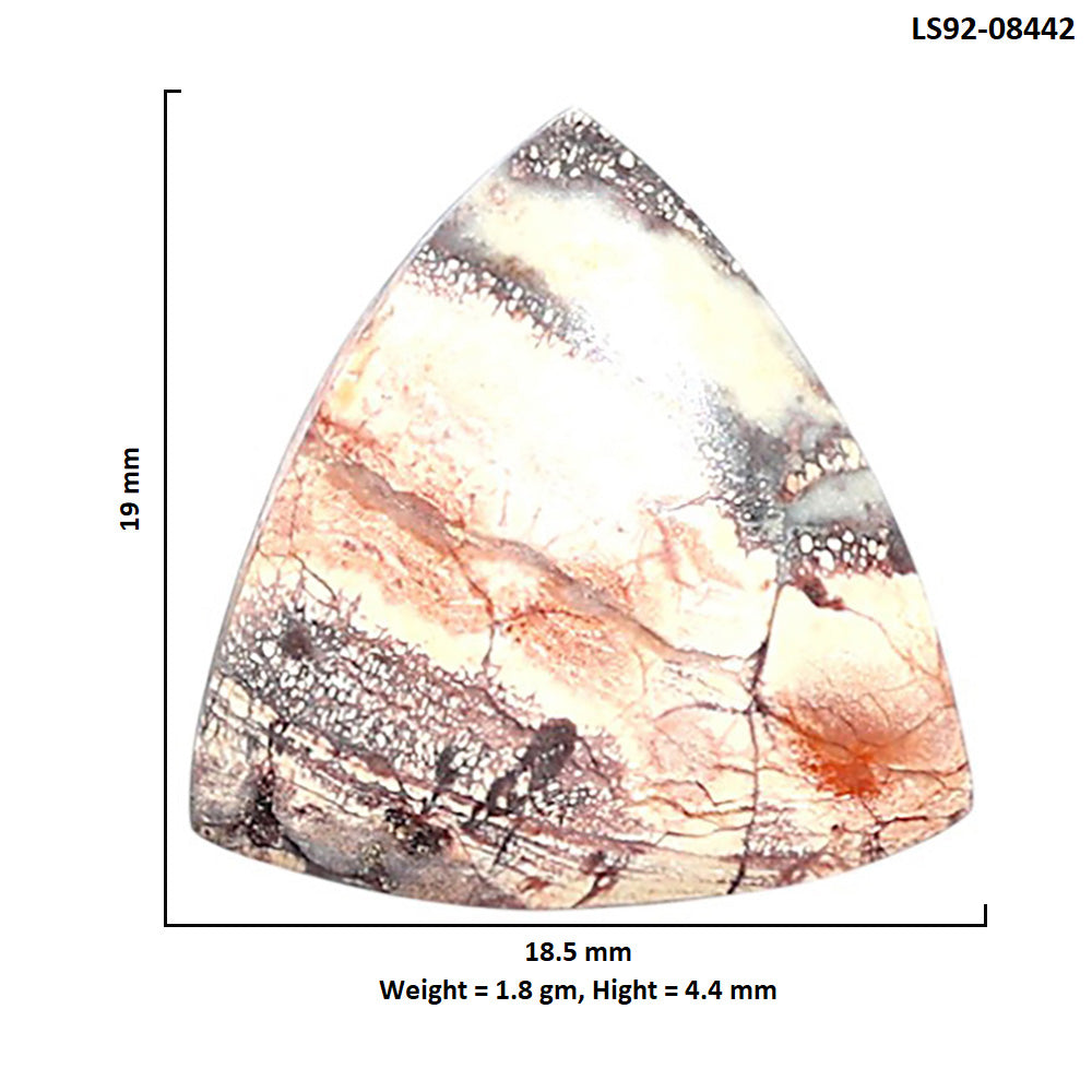 Mexican Bird Eye 18.5x19x4.4 mm Fancy Shape Polished Gemstone LS92-08442