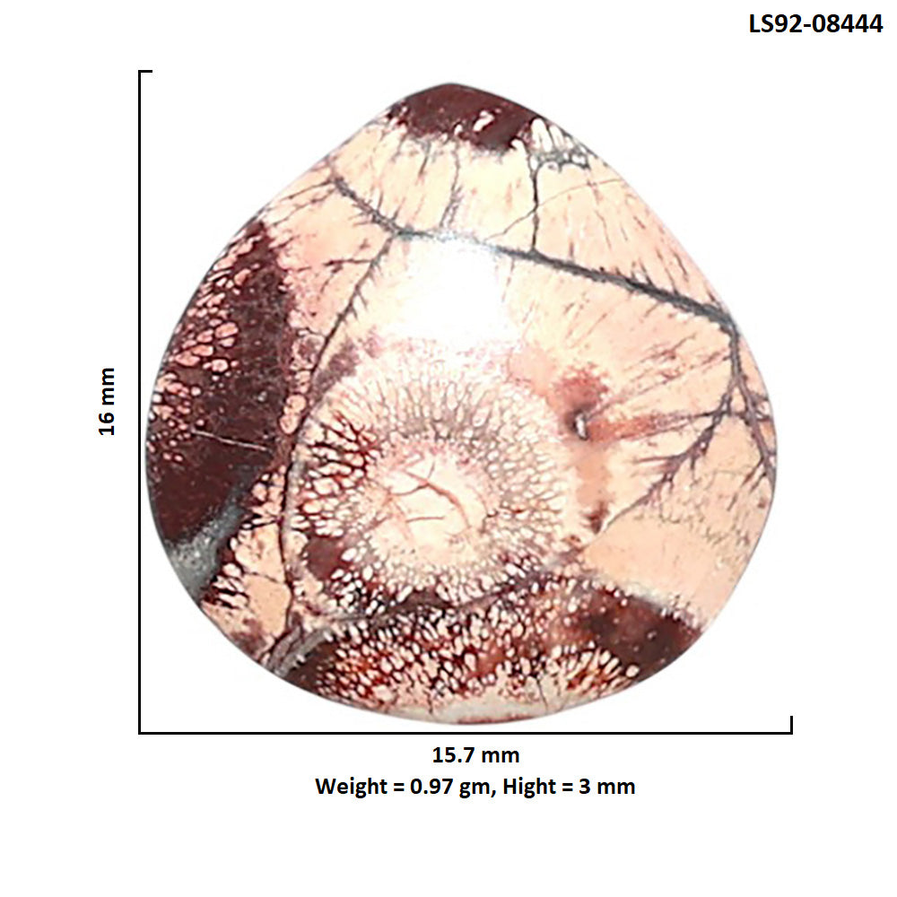 Mexican Bird Eye 15.7x16x3 mm Fancy Shape Polished Gemstone LS92-08444
