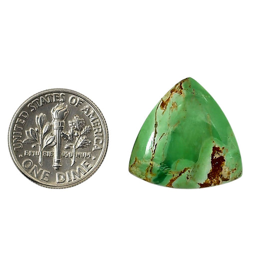 Utah Variscite 19.7x19.7x5 mm Fancy Shape Polished Gemstone LS93-05825