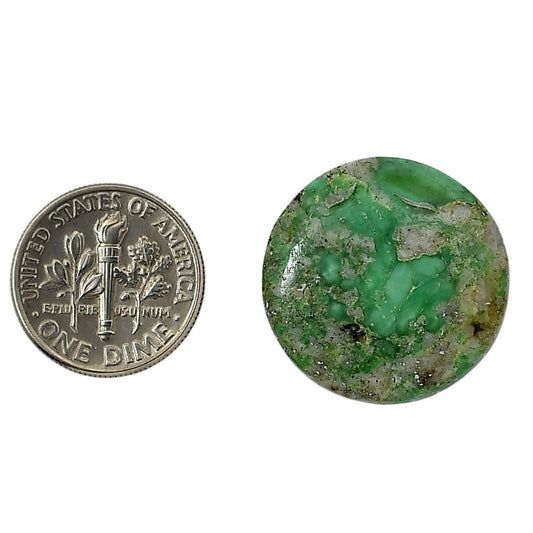 Utah Variscite 22.7x22.7x5 mm Round Shape Polished Gemstone LS93-05828