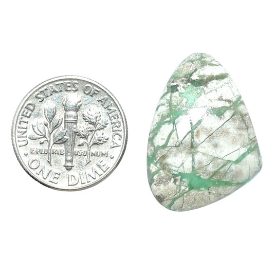 Utah Variscite 18x24.6x6.5 mm Fancy Shape Polished Gemstone LS93-07949