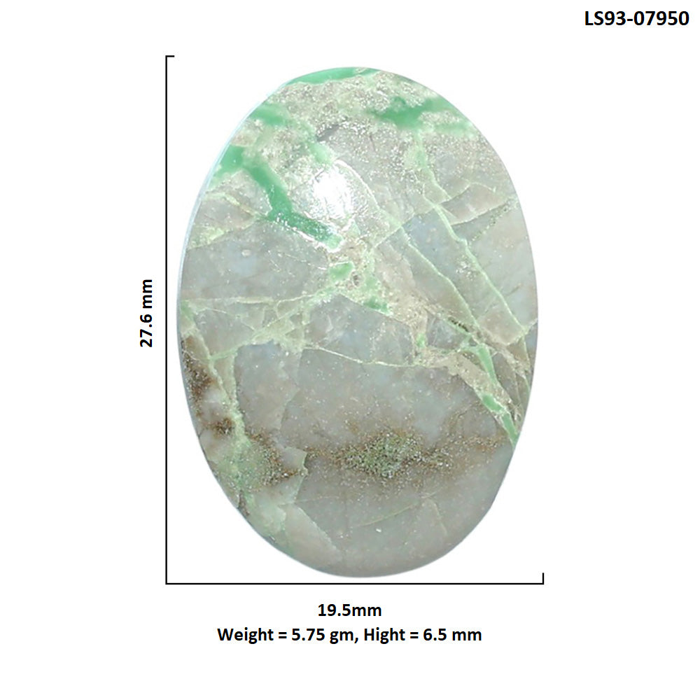 Utah Variscite 19.5x27.6x6.5 mm Oval Shape Polished Gemstone LS93-07950