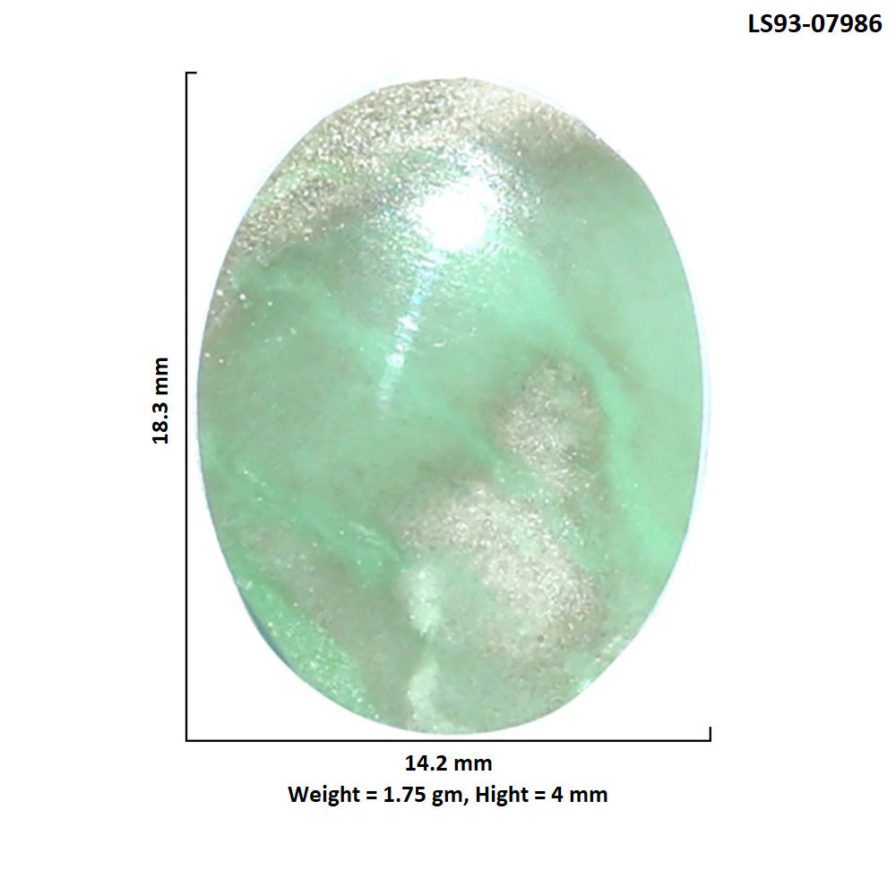 Utah Variscite 14.2x18.3x4 mm Oval Shape Polished Gemstone LS93-07986