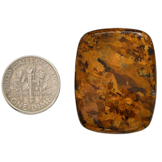 Bronzite 24.75x32x5 mm Cushion Shape Polished Gemstone LS96-05889
