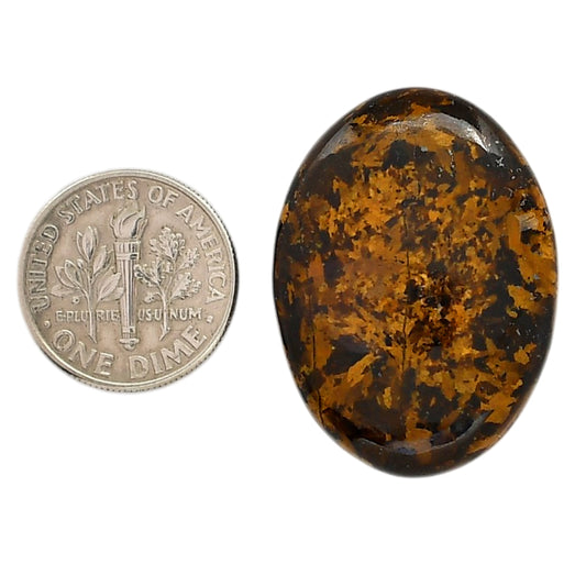Bronzite 23.1x31.35x6.5 mm Oval Shape Polished Gemstone LS96-05890