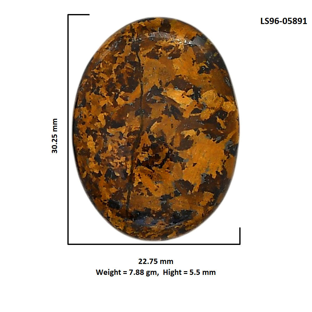 Bronzite 22.75x30.25x5.5 mm Oval Shape Polished Gemstone LS96-05891