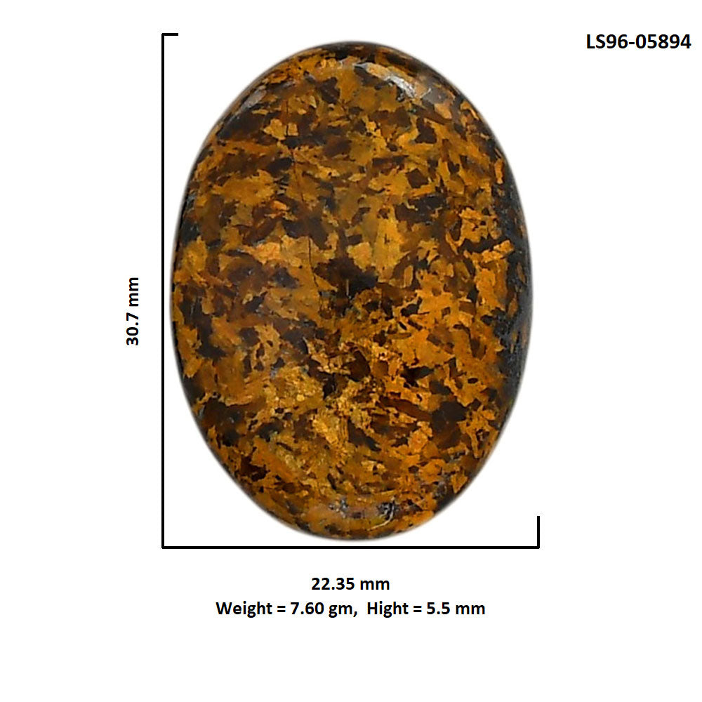 Bronzite 22.35x30.7x5.5 mm Oval Shape Polished Gemstone LS96-05894