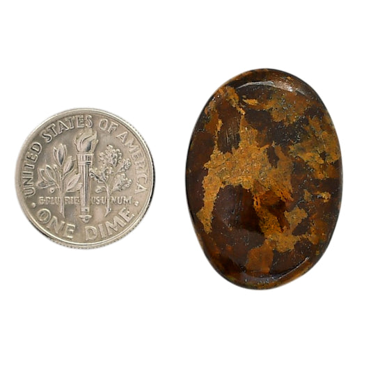 Bronzite 20x28.1x5.8 mm Oval Shape Polished Gemstone LS96-05895