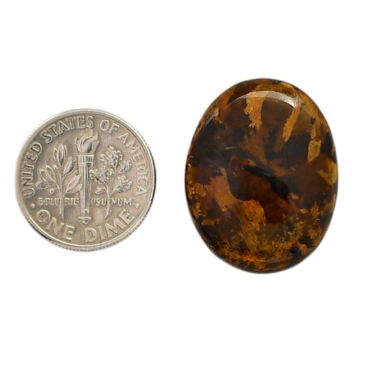 Bronzite 19.3x24.45x5.5 mm Oval Shape Polished Gemstone LS96-05896