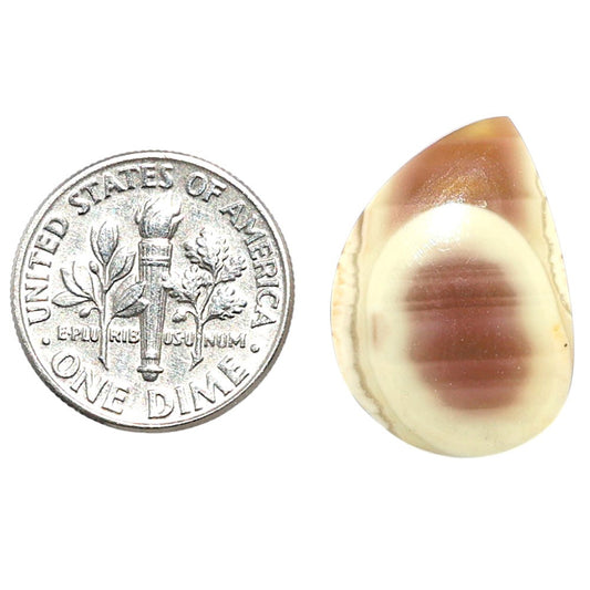 Imperial Jasper 15.1x21.2x4.5 mm Fancy Shape Polished Gemstone LS97-08251