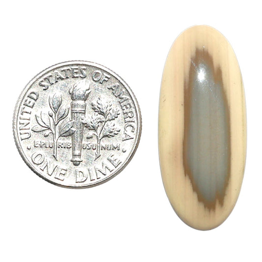 Imperial Jasper 12.3x28.5x4.5 mm Oval Shape Polished Gemstone LS97-08284