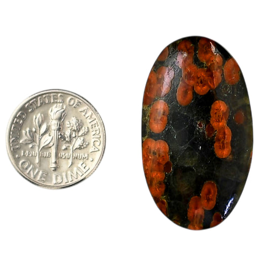Peanut Obsidian 19.7x34.3x6 mm Oval Shape Polished Gemstone LS98-05980