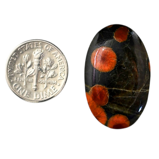Peanut Obsidian 18.8x29.3x5.7 mm Oval Shape Polished Gemstone LS98-05983