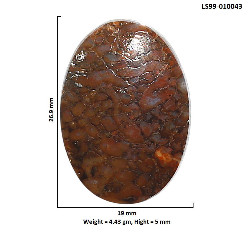 Natural Dinosaur Bone 19x26.9x5 mm Oval Shape Polished Gemstone LS99-010043