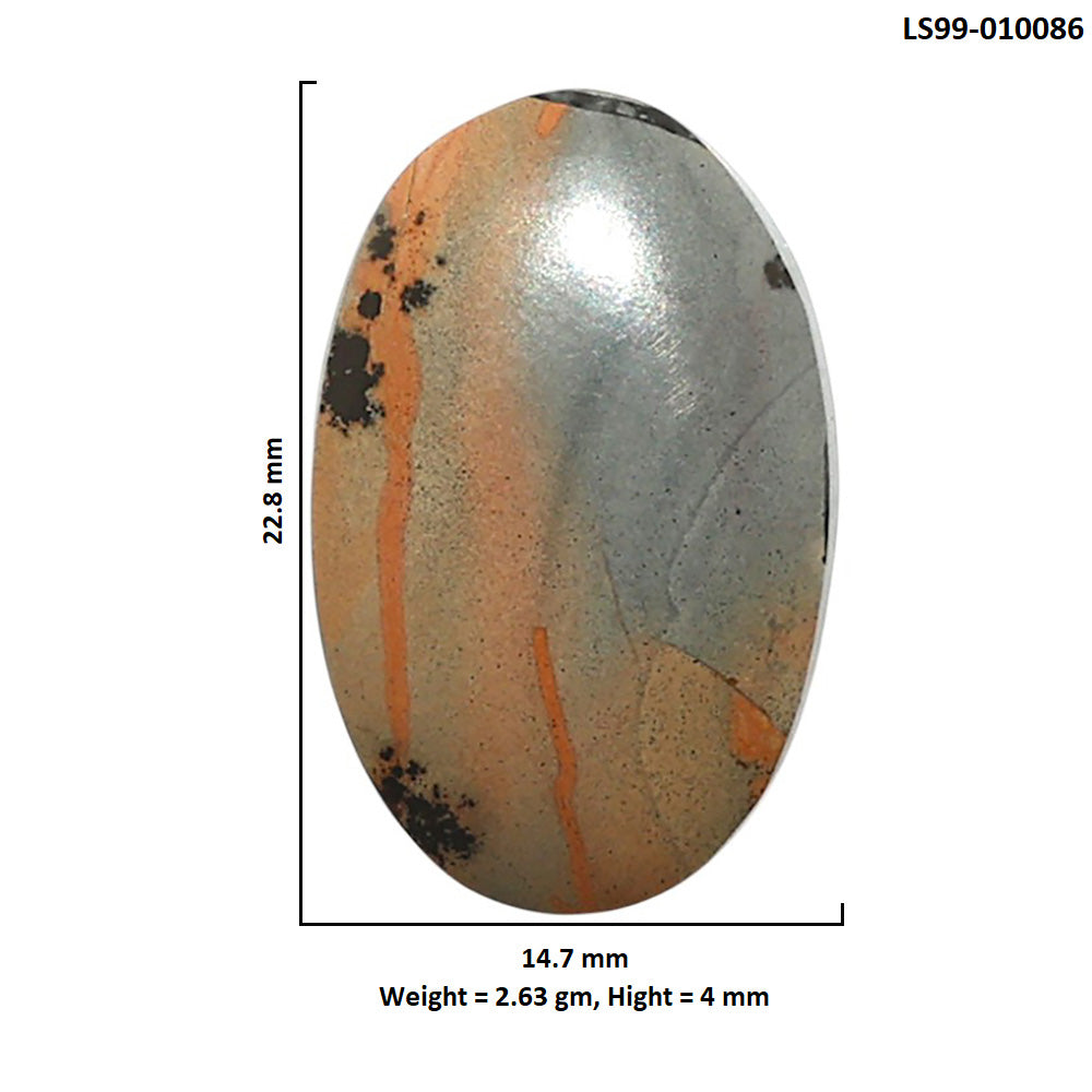 Natural Picture Jasper 14.7x22.8x4 mm Oval Shape Polished Gemstone LS99-010086