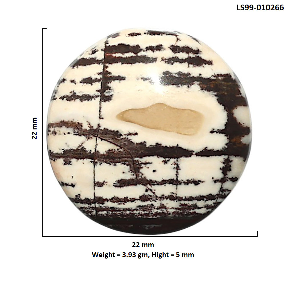 Natural Outback Jasper 22x22x5 mm Round Shape Polished Gemstone LS99-010266