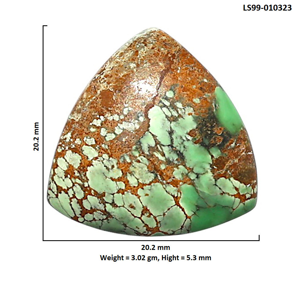 Natural Utah Variscite 20.2x20.2x5.3 mm Fancy Shape Polished Gemstone LS99-010323
