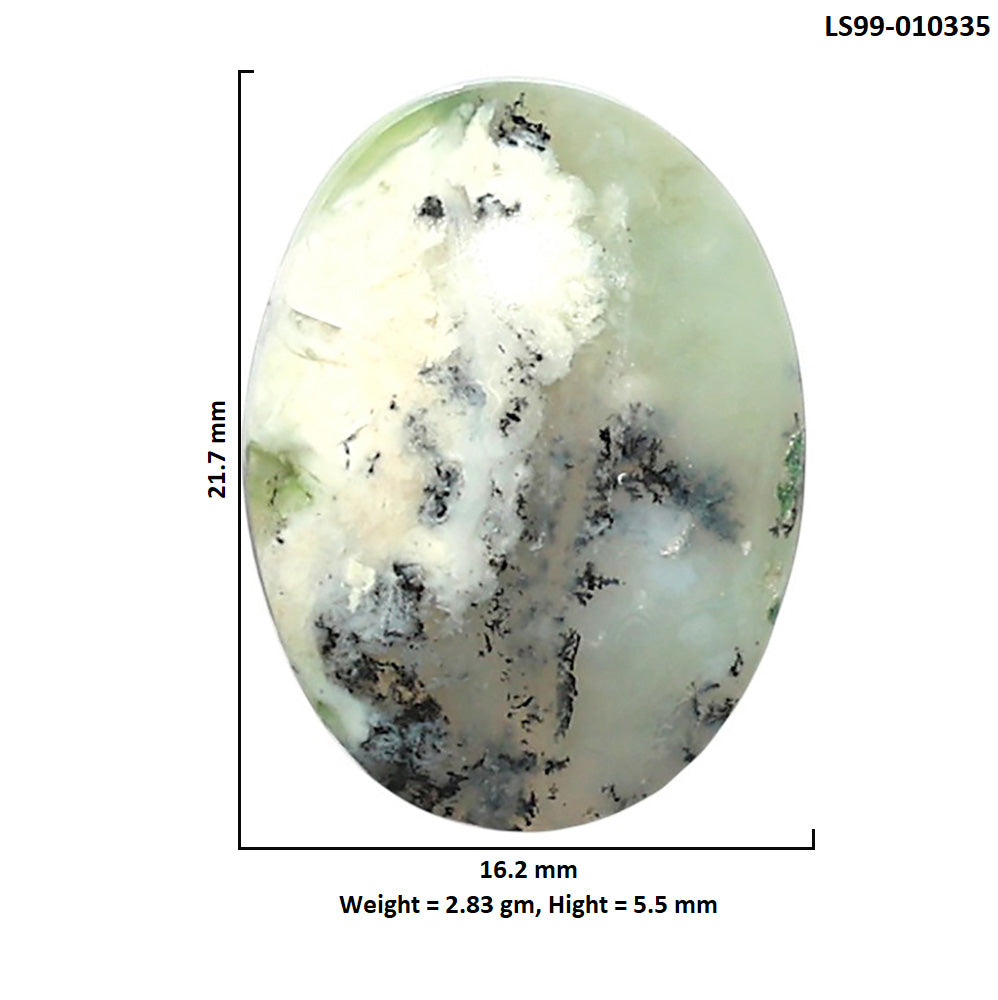Natural Dendritic Chrysoprase 16.2x21.7x5.5 mm Oval Shape Polished Gemstone LS99-010335