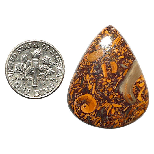 Natural Coquina Fossil Jasper 24.5x30.9x5 mm Pear Shape Polished Gemstone LS99-010347