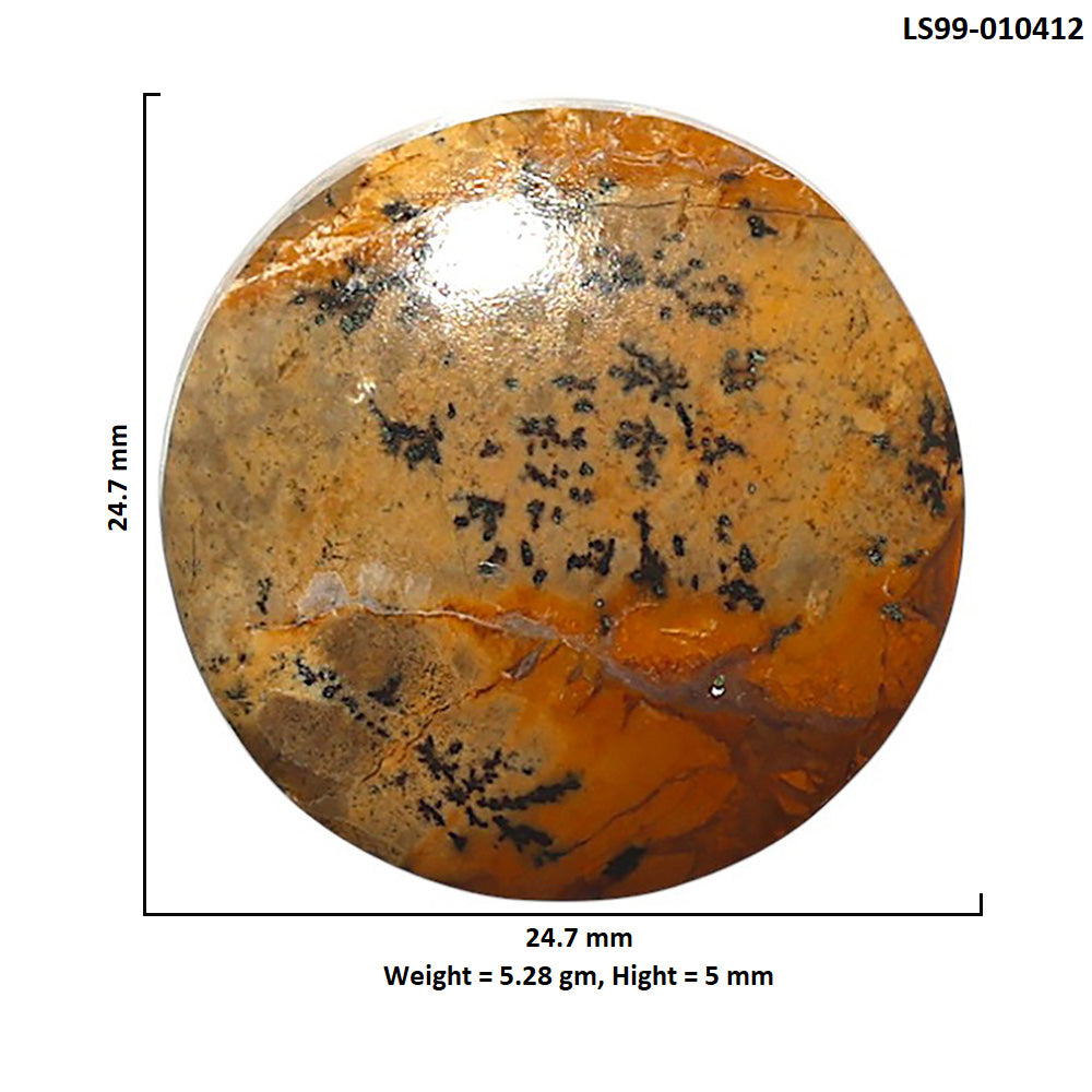 Natural Honey Dendritic Opal 24.7x24.7x5 mm Round Shape Polished Gemstone LS99-010412
