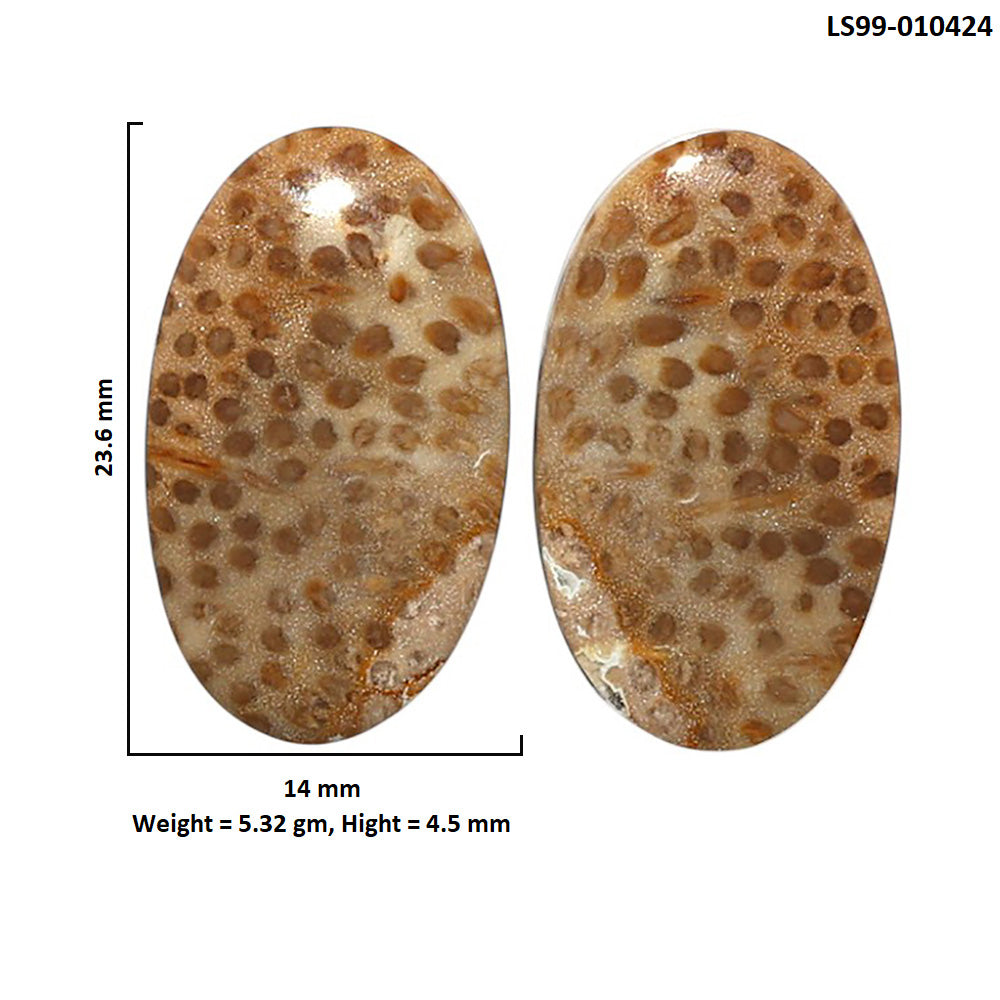 Natural Root Plume Agate 14x23.6x4.5 mm Oval Shape Polished Gemstone LS99-010424