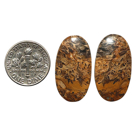 Natural Root Plume Agate 14.2x26x4.5 mm Oval Shape Polished Gemstone LS99-010425