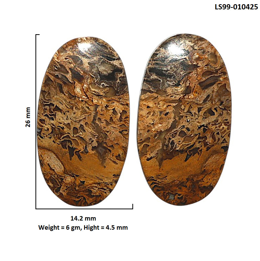 Natural Root Plume Agate 14.2x26x4.5 mm Oval Shape Polished Gemstone LS99-010425