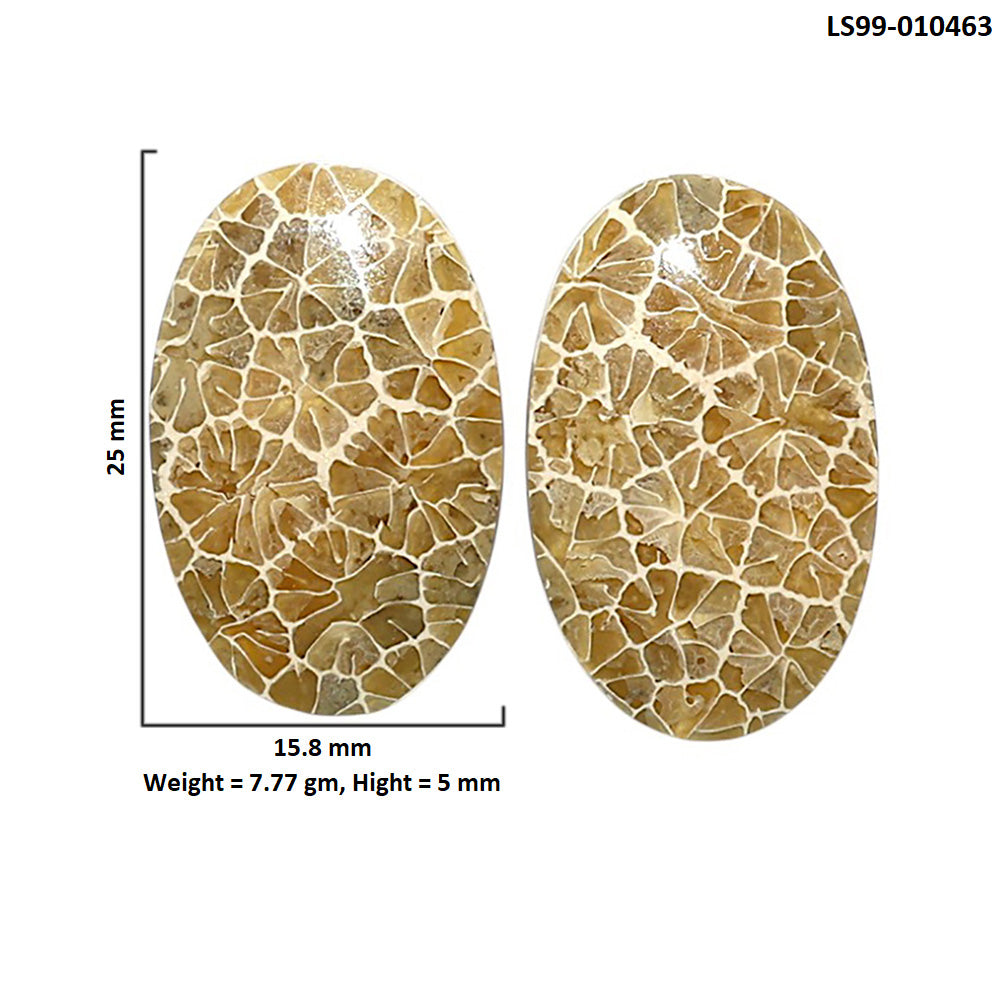 Natural Flower Fossil Coral 15.8x25x5 mm Oval Shape Polished Gemstone LS99-010463