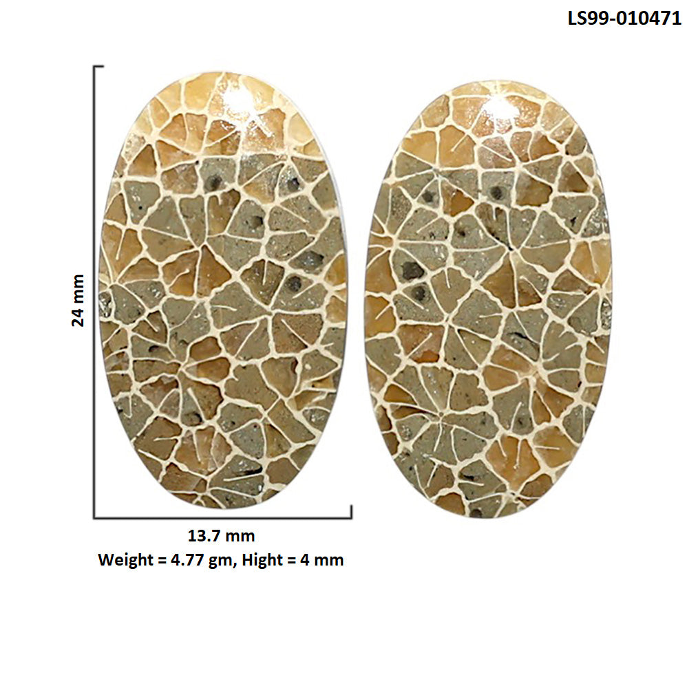 Natural Flower Fossil Coral 13.7x24x4 mm Oval Shape Polished Gemstone LS99-010471