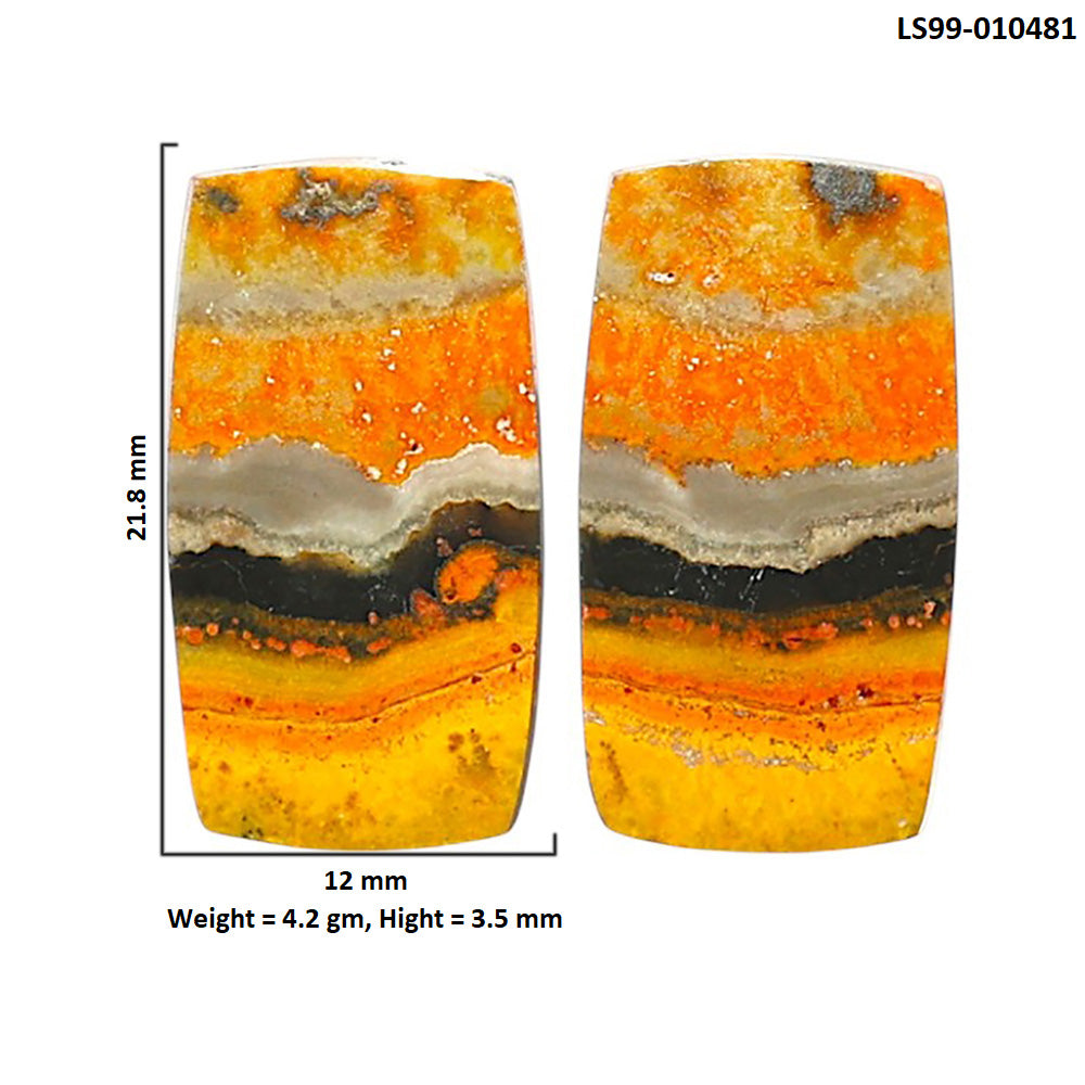Natural Indonesian Bumble Bee 12x21.8x3.5 mm Cushion Shape Polished Gemstone LS99-010481