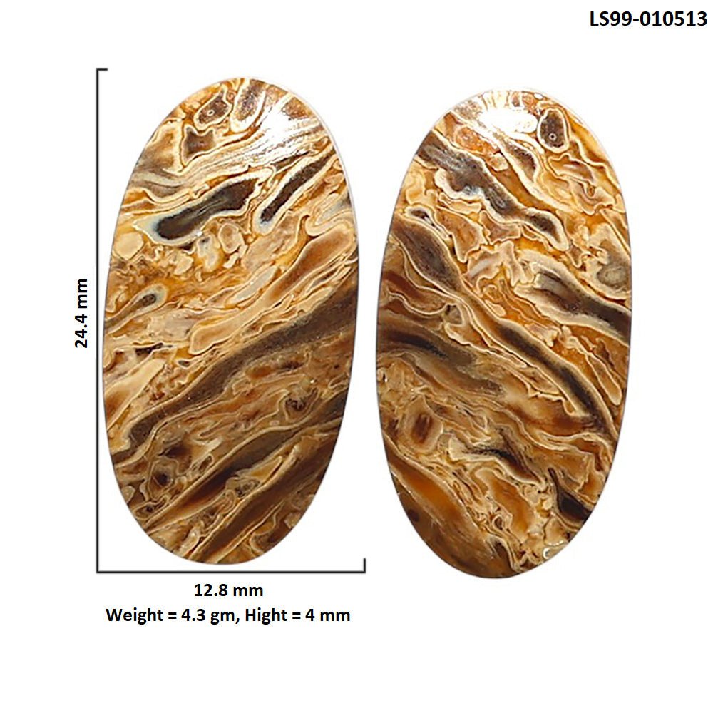 Natural Root Plume Agate 12.8x24.4x4 mm Oval Shape Polished Gemstone LS99-010513