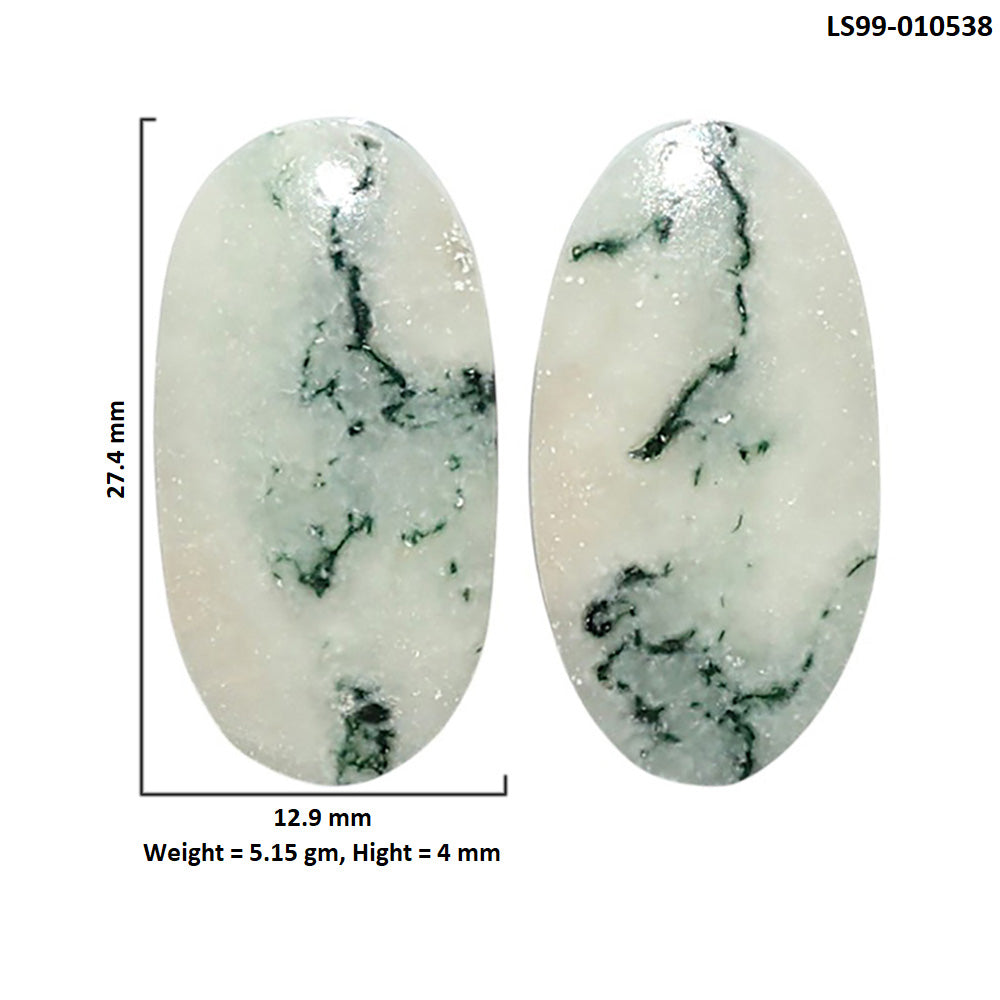 Natural Flower Fossil Coral 12.9x27.4x4 mm Oval Shape Polished Gemstone LS99-010538