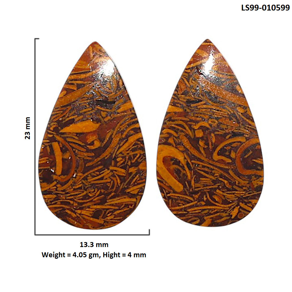 Natural Coquina Fossil Jasper 13.3x23x4 mm Pear Shape Polished Gemstone LS99-010599