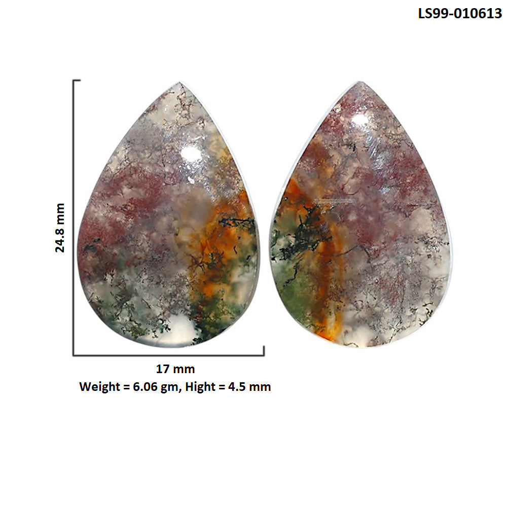 Natural Texas Moss Agate 17x24.8x4.5 mm Pear Shape Polished Gemstone LS99-010613