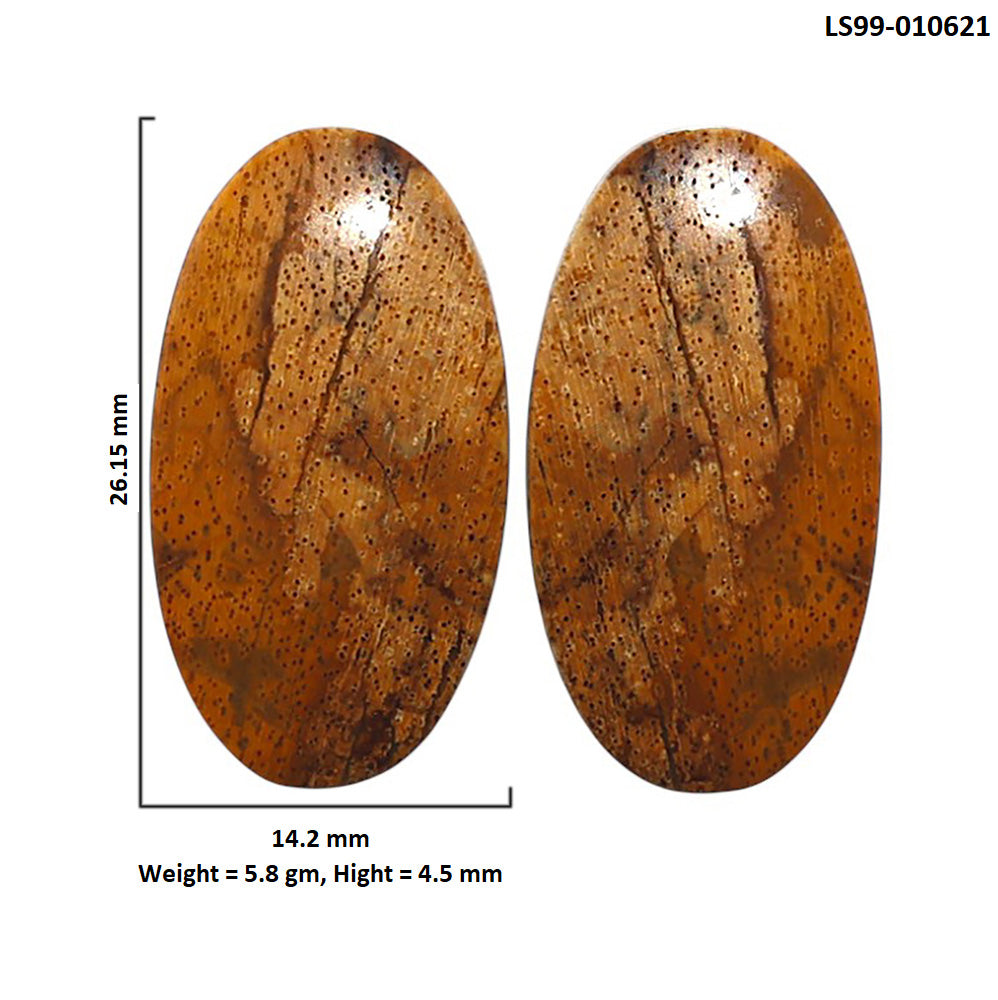 Natural Root Plume Agate 14.2x26.15x4.5 mm Oval Shape Polished Gemstone LS99-010621
