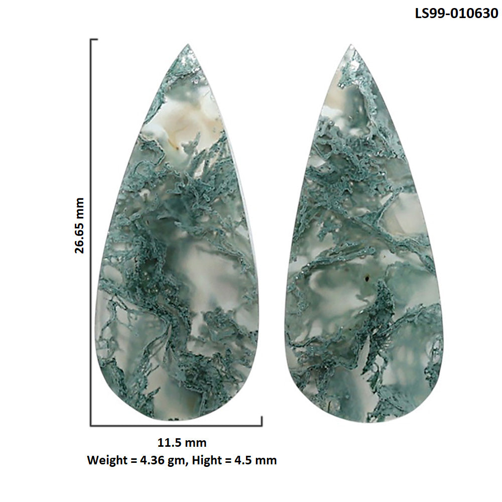 Natural Horse Canyon Moss Agate 11.5x26.65x4.5 mm Pear Shape Polished Gemstone LS99-010630