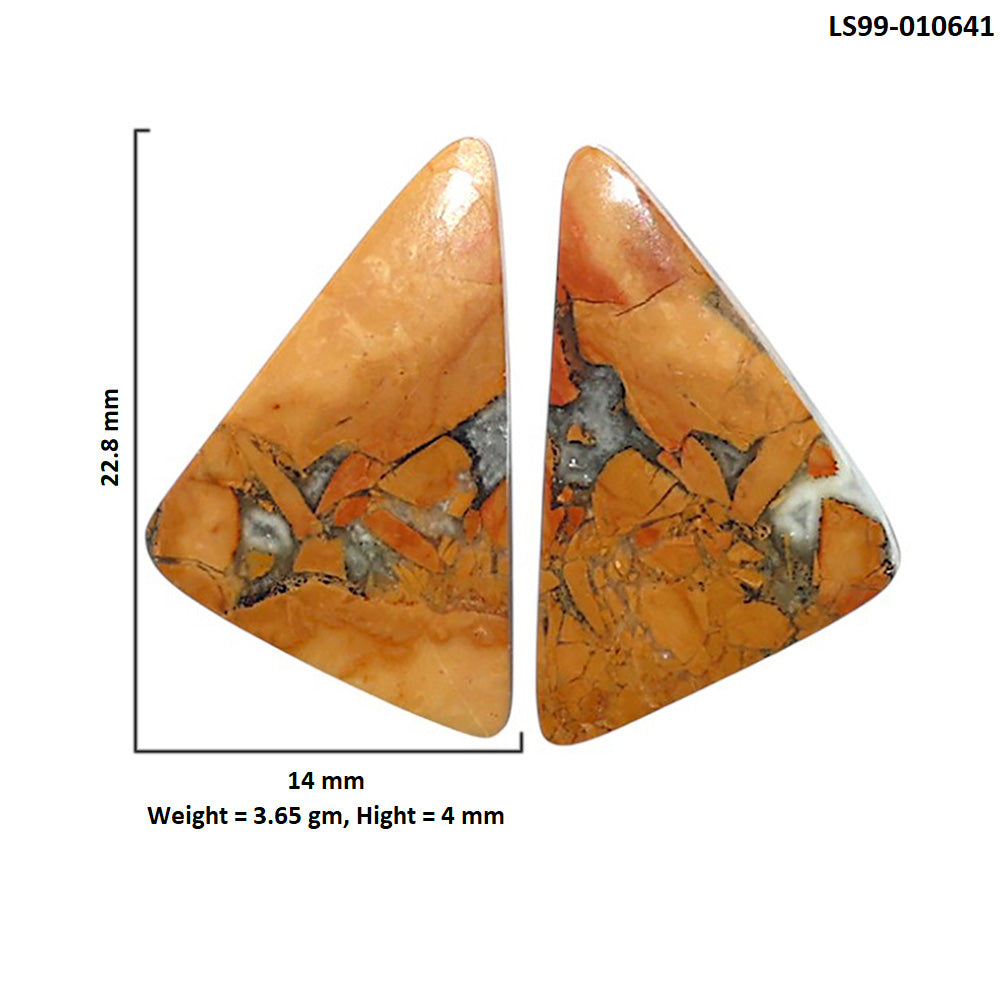 Natural Maligano Jasper 14x22.8x4 mm Fancy Shape Polished Gemstone LS99-010641
