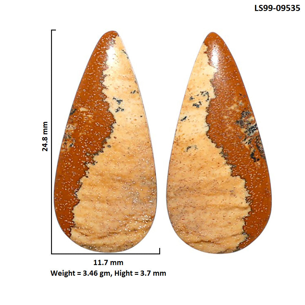 Natural Picture Jasper 11.7x24.8x3.7 mm Pear Shape Polished Gemstone LS99-09535