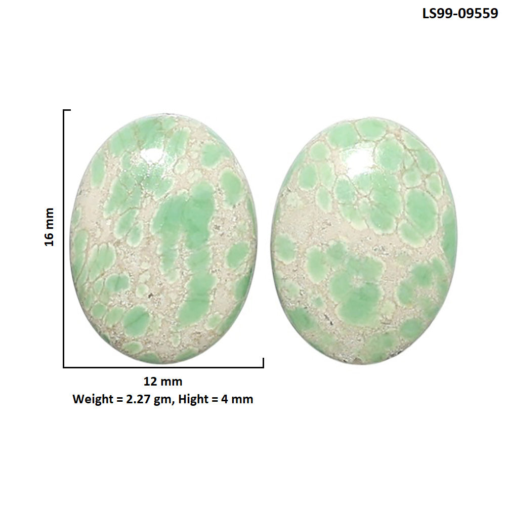 Natural Utah Variscite 12x16x4 mm Oval Shape Polished Gemstone LS99-09559