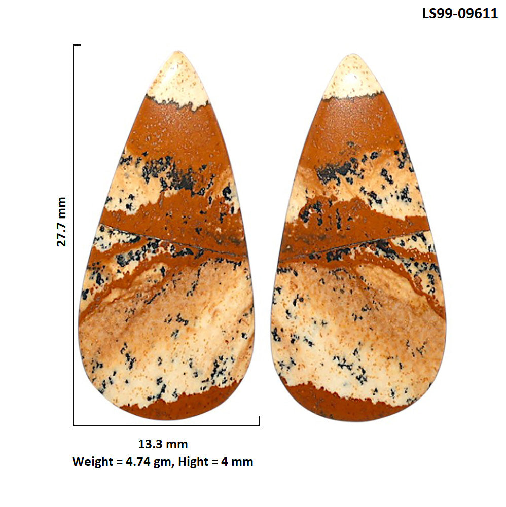 Natural Picture Jasper 13.3x27.7x4 mm Pear Shape Polished Gemstone LS99-09611