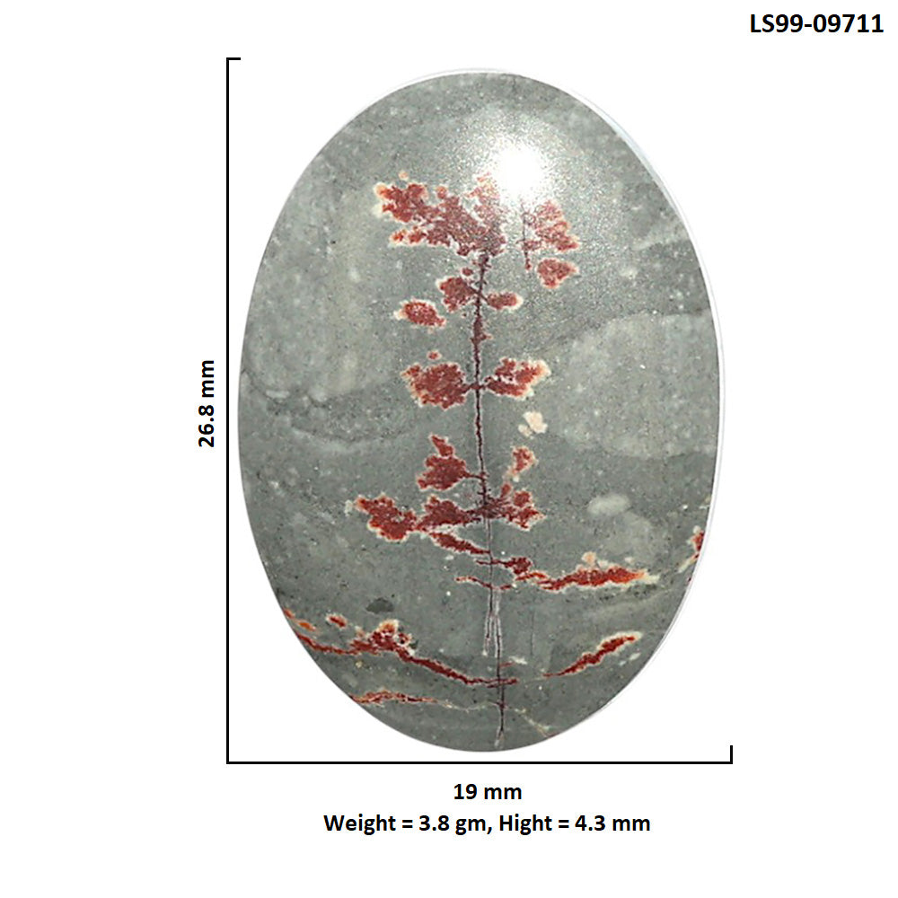 Natural Sonora Dendritic 19x26.8x4.3 mm Oval Shape Polished Gemstone LS99-09711