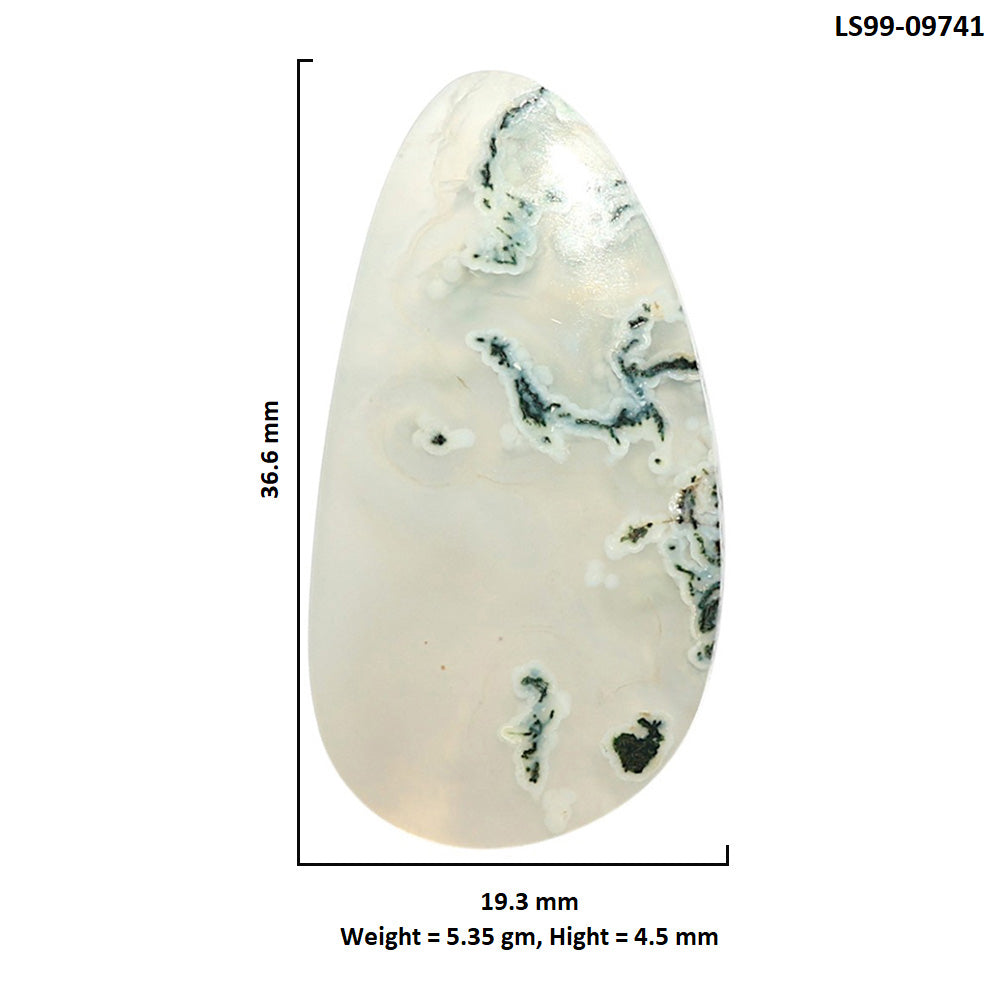 Natural Horse Canyon Moss Agate 19.3x36.6x4.5 mm Fancy Shape Polished Gemstone LS99-09741